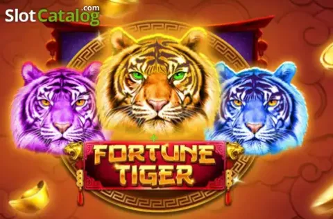 Player winning big on Jungliwin jackpot slot